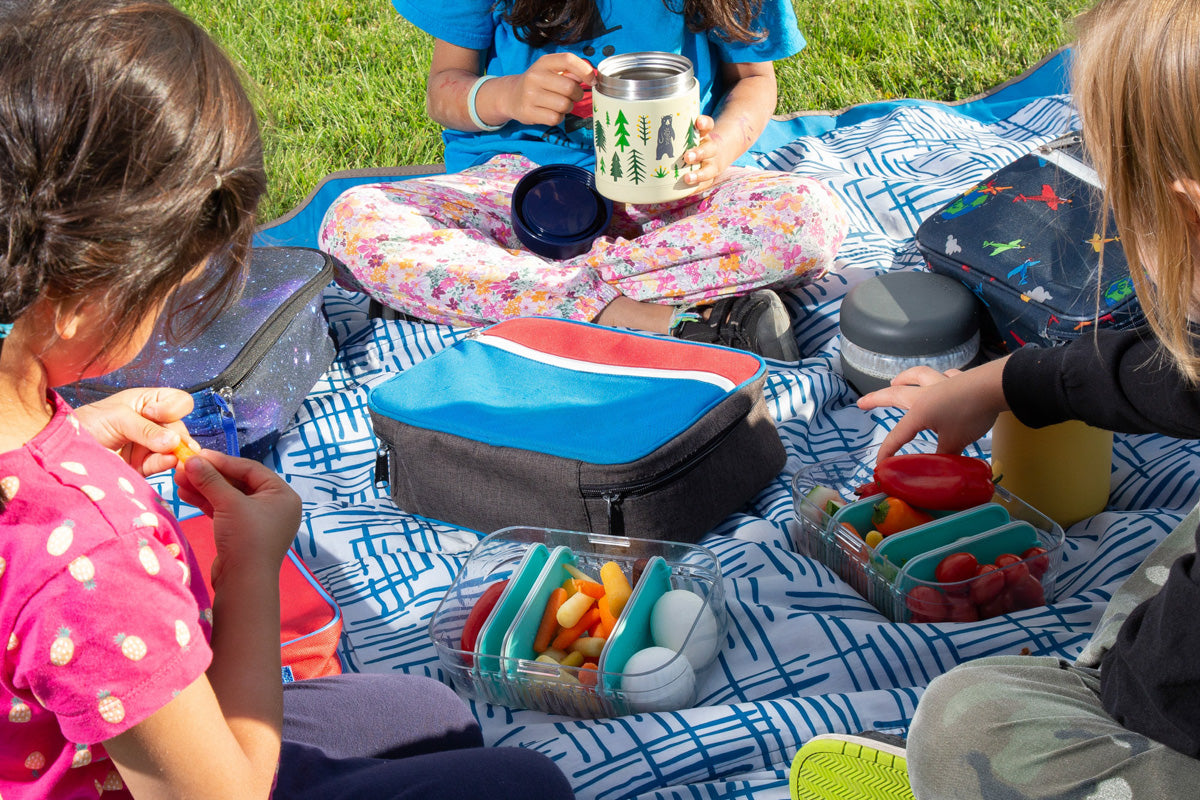 Enfants qui lunch en picnic - Janny's Lunch